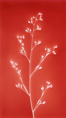 Obraz premium Minimalist red floral design, perfect for a mobile wallpaper.