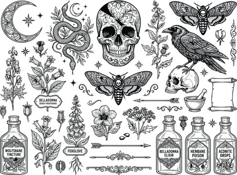 Occult gothic vector set, wolfsbane belladonna henbane aconite poison bottles, ornate skull, raven crow, coiled snake, deaths head moth