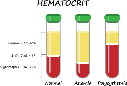 Hematocrit. Medical illustration.