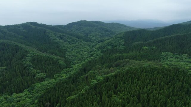広大な森林が広がる山岳地帯 シネマティックなドローン空撮映像