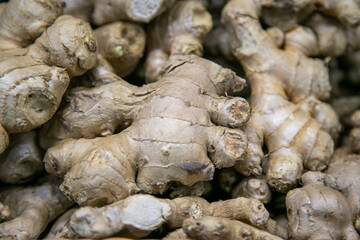 Fototapeta premium Ginger roots displaying rough textures for healthy cooking
