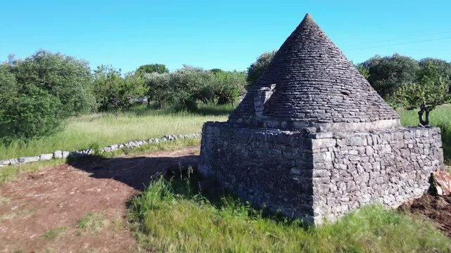 Lone Trullo Among Olive Groves in Puglia, Italy. Aerial drone approach to a traditional dry-stone house in the rural Apulian countryside.
