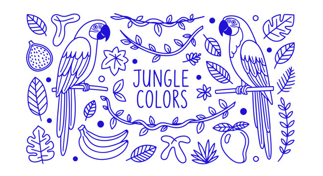 Blue line art illustration featuring macaws, tropical fruits, and jungle foliage on a white background.