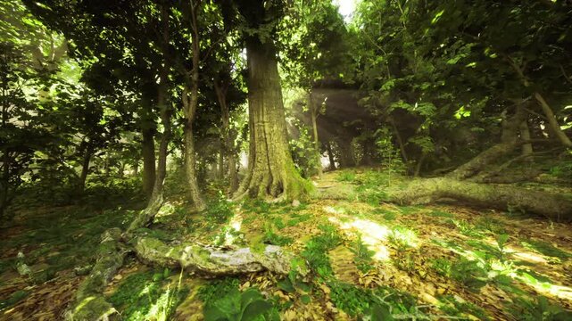 Sundappled forest glade Finland light breaking through canopy onto soft moss and scattered leaves, narrow natural path leads toward bright clearing, warm