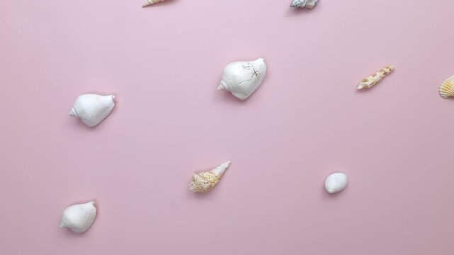 Top view aesthetic flat lay with organized seashells and pink background