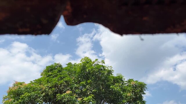 Green tropical tree viewed through a rustic roof opening beneath a blue sky with scattered clouds in a peaceful rural setting.