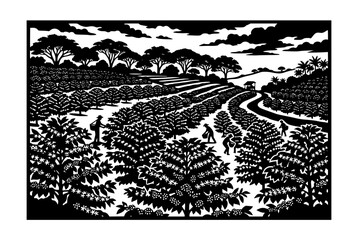 Obraz premium Coffee Plantation Harvest Black and White Woodcut Illustration