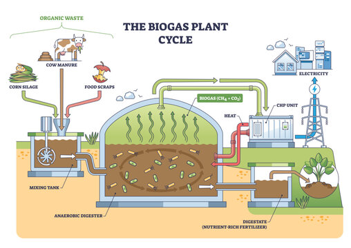 Biogas plant cycle shows organic waste turning into energy and fertilizer via anaerobic digester, mixing tank, and CHP unit, illustrating closed-loop renewable production, transparent background.