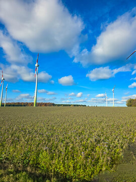Wind Turbines over an Autumn Field