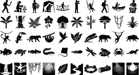 Obraz premium Set of black jungle and tropical rainforest icons featuring wild animals exotic plants adventure travelers and nature landscape elements in a flat graphic design style