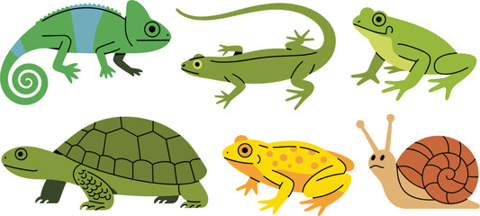Reptile and amphibian collection, chameleon lizard frog turtle snail wildlife vector illustration isolated set © Arishfa