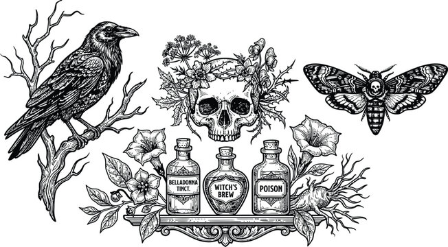 Gothic witchcraft vector set, raven on branch, floral skull, death head moth, potion bottles, magical mystery occult dark academia components