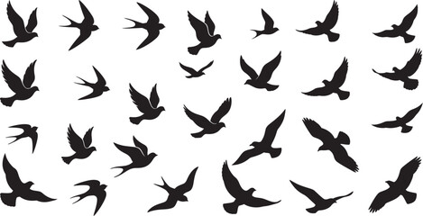 Fototapeta premium A collection of various flying bird silhouettes isolated on a white background featuring multiple species in different poses for design projects and creative graphic compositions