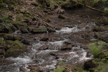waterfall in the forest © Svetlana