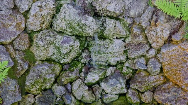 Small waterfall over mossy rocks streaming down a rough stone wall, close up static shot of clean spring water flowing through green fern and wet limestone in peaceful summer forest.