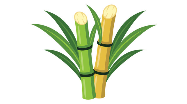 Green and yellow sugarcane stalks with leaves illustration.