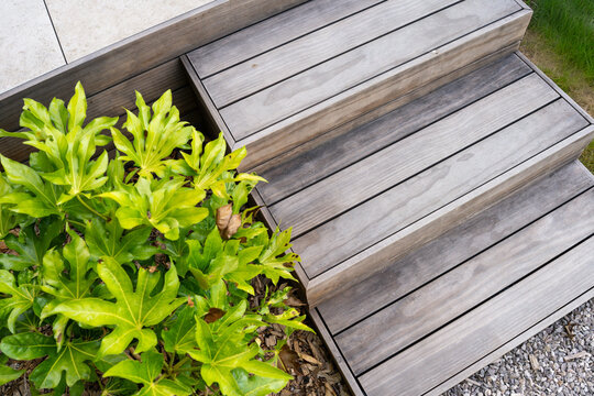 Escalier ext&eacute;rieur de deux marches en lames de bois gris entour&eacute; d'un arbuste au feuillage vert vif dans un jardin moderne.