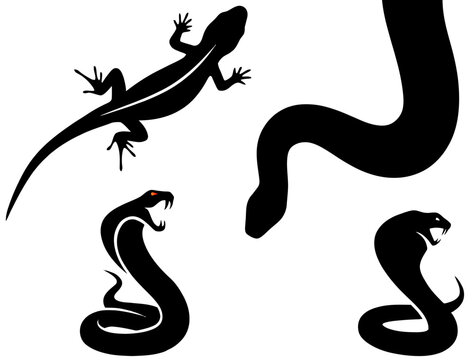 Collection of reptile silhouettes featuring snakes and lizards