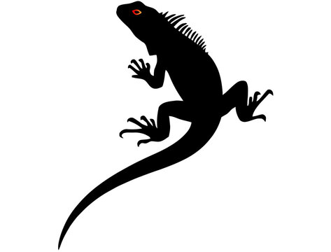 Black silhouette illustration of an iguana with red eye, wildlife