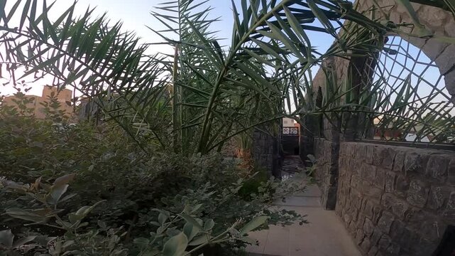 Walking past palm trees to enter the stone prayer area of historic Masjid Bani Anif.