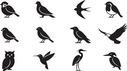 Fototapeta premium A collection of various bird silhouettes including owls hummingbirds and songbirds presented as a set of black vector icons on a plain white background