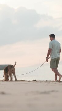 Man walks dog on the beach during sunset in coastal area
