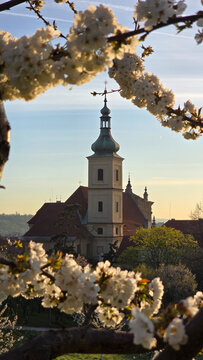 Golden sunlight casts a warm glow over Prague's skyline, highlighting stunning gothic towers and blooming flowers. This enchanting scene captures the beauty and charm of the city at dusk.
