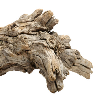 Weathered piece of driftwood with deep grooves and rough texture isolated on a solid black timber de