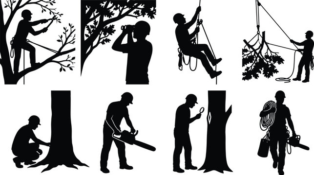 Professional Arborist and Tree Surgeon Silhouettes Featuring Pruning Chainsaw and Tree Care Service Symbols