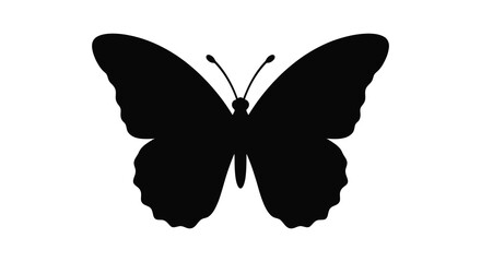 Black Silhouette Of A Butterfly With Antennae Isolated On White © Momtaj