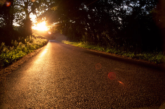 Country Lane At Sunset