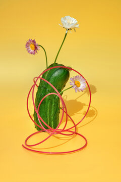 Still life with Cucumber, Flowers and Red Wire on Yellow Background