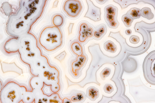 Beautiful Moroccan Agate With Eyes  