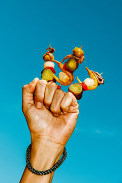 a man holds several spanish banderillas to the sky
