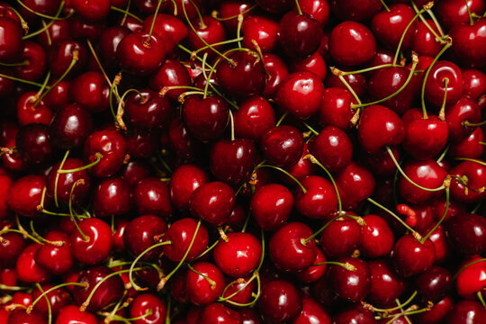 Freshly Harvested Cherries at Market