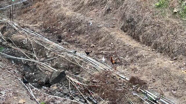Dry riverbank with PVC water pipes beside a rural drainage channel during drought, documenting water scarcity and environmental conditions.