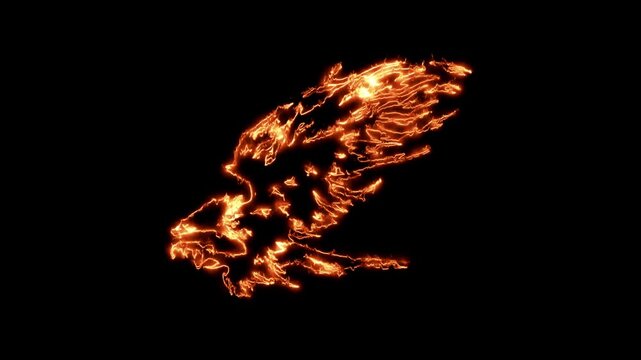 Neon sign depicting an eagle with outstretched wings, or a illuminated sign for a restaurant storefront.