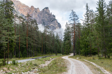 Obraz premium Paired forest roads lead through Val dai Tamersc toward the fog-wrapped limestone cliffs of Piz de Pares outside San Vigilio in Italy