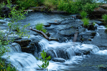 Peaceful Freshwater Cascades Surrounded by Lush Vegetation © Francesca