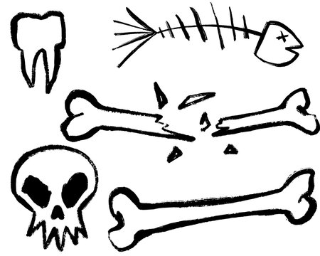 Hand drawn doodle bones, skull, tooth and fish skeleton isolated on transparent background for spooky designs.