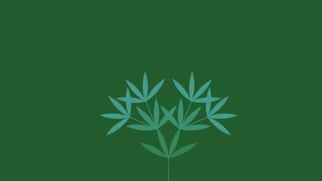 Symmetrical geometric blue bamboo leaves form a blooming mandala pattern over a dark green background in a minimalist organic motion loop