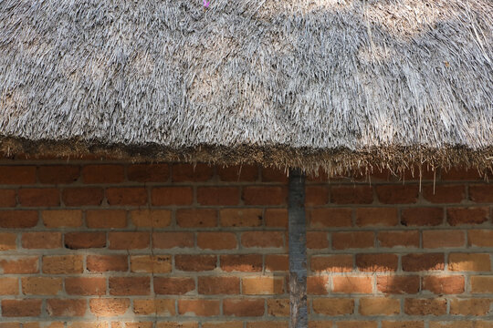 Thatched roof house in india