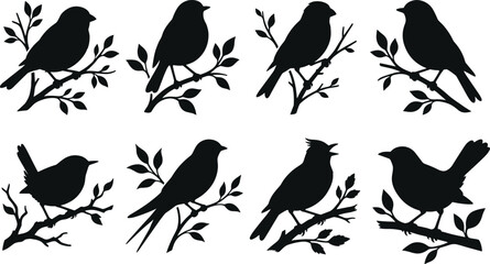 Fototapeta premium Black bird silhouettes perched on branches with leaves showing natural poses and diverse species