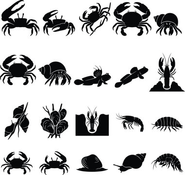 Seafood Silhouette Collection Black Crustaceans Shellfish And Marine Animals On White