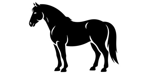 Silhouette of a horse running with its mane and tail flowing in the wind against a white background view,Morgan horse silhouette vector illustration on white background, elegant equine profile artwork © SujetaRani