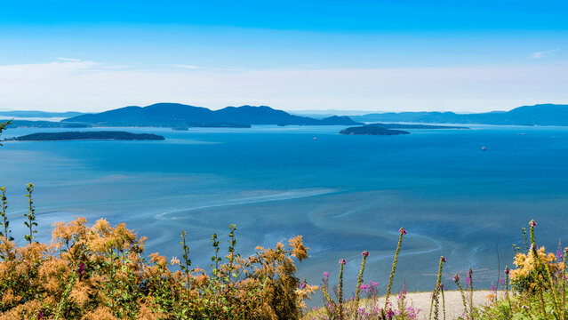 Panoramic Views of Samish Bay from Samish Overlook, Washington, USA