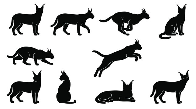 Dog breed silhouettes set. Black doberman pinscher poses vector illustration. Standing, sitting, running, and jumping positions for pet projects.