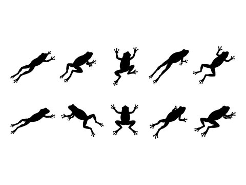 Premium Collection Original Frog Silhouette Vector Icons Isolated on White Background