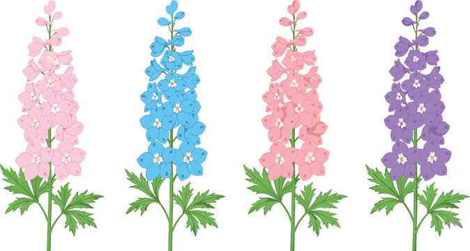 Delphinium Flower Set in Pink, Blue and Purple Color with Leaves Vector Illustration