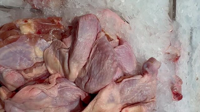 Closeup of raw chicken meat 4k video 